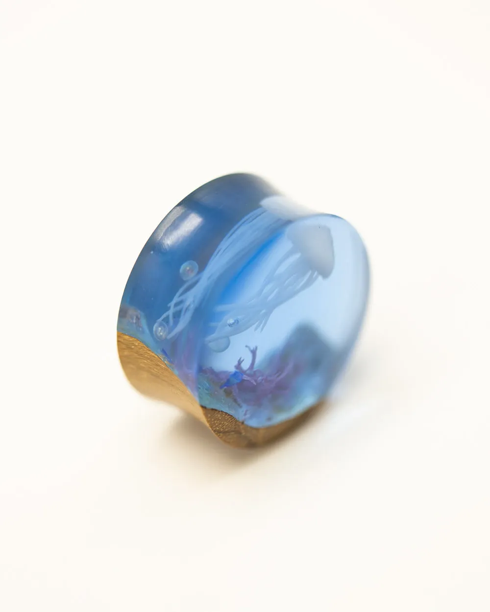 Reef Epoxy Wood Plug